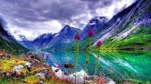 Maybe you would like to learn more about one of these? Valley Of Flowers 1080p 2k 4k 5k Hd Wallpapers Free Download Wallpaper Flare