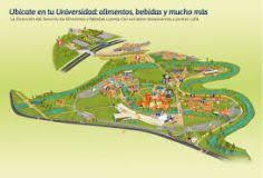 Por una cultura de la vida, su calidad y su sentido. Campus Universidad El Bosque Torneo De Estudiantes Grupo Cerros 2019 2020