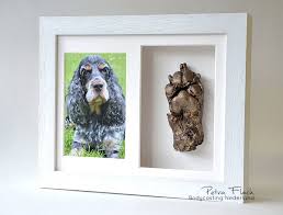 Afdruk Hondenpoot In 3d Lijst Hondenpoten Dieren Lijst