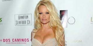 She's a successful actress, an iconic model, and a passionate activist. Pamela Anderson Secretly Marries Her Bodyguard Dan Hayhurst The New Indian Express