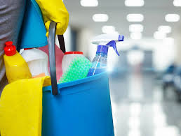 The History of House Cleaning Services | Euro Maids