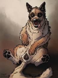 Rule34 US
