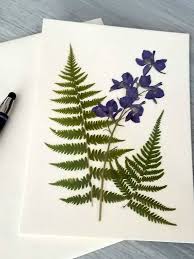We have ferns for the sun as well as for shade. Pin On Pressed Flowers