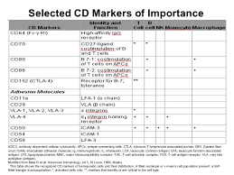 Always Up To Date Cd Antigens Chart 2019
