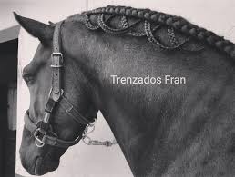 We Re Off To The Ifemamadridhorseweek This Weekend And Are Looking Forward To Meeting Trenzados Fran Wh In 2020 Horse Mane Braids Horse Hair Braiding Horse Braiding