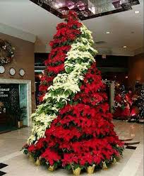 Christmas Tree Made From Poinsettias Unique Christmas Trees Church Christmas Decorations Christmas Flowers