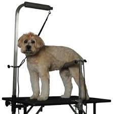 It can be built in less than half a day and you won't spend over $100 for the materials. Ilmu Pengetahuan 8 Dog Grooming Tables And Accessories