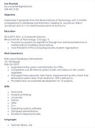 We've also included a write up on entry level job description and entry level. 20 Best It Expert It Professional Resume Templates Word Psd