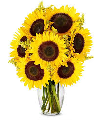 Helios translates to sun and anthos means flower. Sunflower Bouquet Sunflower Delivery Fromyouflowers