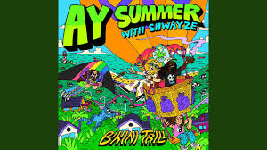 Image result for Summerhayesia