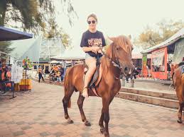 The rider sits on the pony with full weight, enjoying her strength to the maximum. Port Dickson Pony Ride Home Facebook