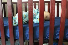 With quick glance at their website, it's easy to see why. Lullaby Earth Eco Plus Crib And Toddler Mattress Review