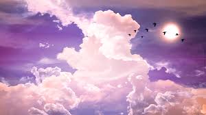 Inspired by tumblr aesthetics, get your new background here. Soon Violent Median Pink Cloud Tumblr Bergenpianostudio Com