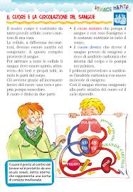 Il Cuore E L Apparato Circolatorio Spiegato Ai Bambini Attivita Del Corpo Umano Scienza Per Bambini Scuole Di Infermeria