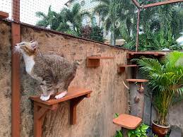 Safe Garden With Catification for Enriched Cat Experience — The Cat People  (SG)