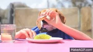 Stop trying to make 'fetch' happen! Funny Fat Dog Eating A Muffin On Make A Gif