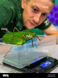 Jamie mitchell hi-res stock photography and images