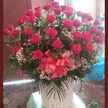 Rose rosse per il compleanno delle figlie: 51 Rose Rosse Olandesi Per Augurarti Buon Www Chioscodeifiori Com Consegna In Tutta Napoli Con Una Semplice Telefonata Rose Rosse Rose Rosso