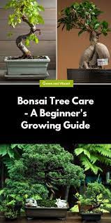 Bonsai Tree Care A Beginner S Growing Guide Bonsai Tree Care Bonsai Tree Types Tree Care
