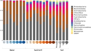 2019 was another great year for the urban desert pest control family. The Lost World Of Cuatro Cienegas Basin A Relictual Bacterial Niche In A Desert Oasis Elife