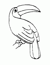 Which animal is their favourite? Rainforest Birds Coloring Pages