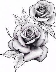 Outline for new neotraditional rose tattoo flash neo traditional rose outline. 45 Flores Bg Flores Rosetattoo Rose Tattoo Stencil Rose Drawing Tattoo Realistic Rose Tattoo