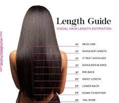 Pin By Tyshawn On Zbrush Hair In 2019 Hair Lengths Waist Length Hair Hair Length Guide Pin By Ty Hair Length Guide Hair Lengths Hair Extension Lengths