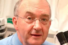 UCLA researchers identify new mechanism that delivers glucose to cancer  cells