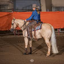 Stallions — Raffety Cattle Company Quarter Horses