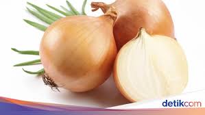 We did not find results for: Begini Cara Benar Simpan Bawang Bombay Agar Tak Cepat Busuk