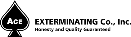When our nashville pest control technicians arrive, they carefully assess both the inside and outside of your home. Ace Exterminating Bug Us So They Don T Bug You