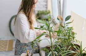 While i want my plants to be healthy, i'm averse to the idea of dropping hundreds of dollars on an eyesore. This Diy Grow Light Will Keep Your Plants From Dying This Winter Well Good
