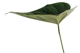 Check spelling or type a new query. Longhi Group International Creating A Positive Impact