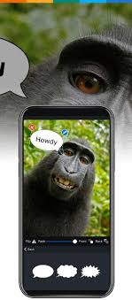 Speech Bubbles On Photos Add Text Bubbles To Pics
