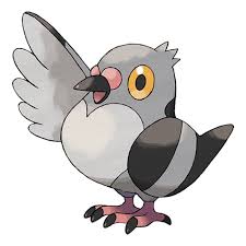 Black And White Bird Pokemon Name Pidove Pokedex Pokemon Pokemon Drawings Pokemon Art
