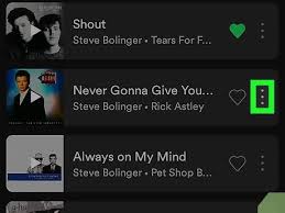 But if the song or songs are. How To Delete Songs From Spotify 12 Steps With Pictures