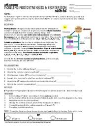 Section 8 1 review answer key, photosynthesis and cellular respiration worksheet answers and photosynthesis cellular respiration worksheet answers are three main things we want to present to you based on the gallery title. Distance Learning Edible Photosynthesis Cellular Respiration Lab