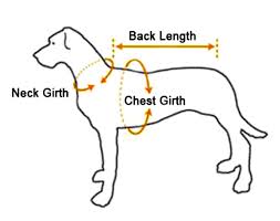 Measuring your dog for a harness is extremely important for their safety. Several Tips Of Purchasing Dog Clothes And Shoes Okshop
