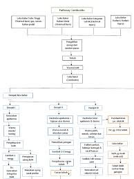 Image result for Combustio