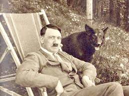 Resultado de imagen de adolf hitler