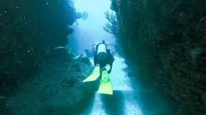 Scuba Diving In Punta Cana Gopro Youtube