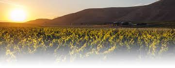 Maybe you would like to learn more about one of these? The World S Most Diverse Wine Region Santa Barbara Vintners