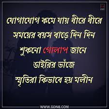 Pin On Bangla Book