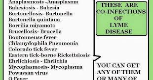 Midcoast Lyme Disease Support And Education Co Infections