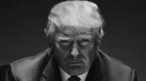 @TrumpDailyPosts's video Tweet