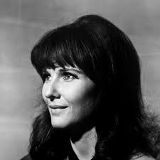 Julie Rule's Instagram, Twitter & Facebook