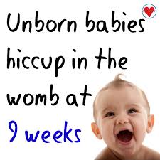 National Pro-Life Alliance