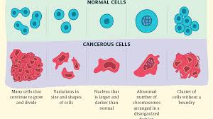 But when there is a change in our dna or damage to it, a gene can mutate. Cancer Cells Vs Normal Cells How Are They Different