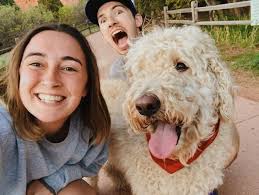 Is anyone missing a sweet brown dog in Windsor Downs?