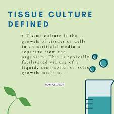 We did not find results for: The True Definition Of Tissue Plant Cell Technology Facebook
